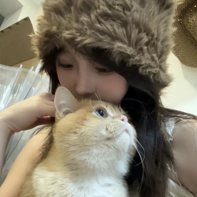 小森林2018